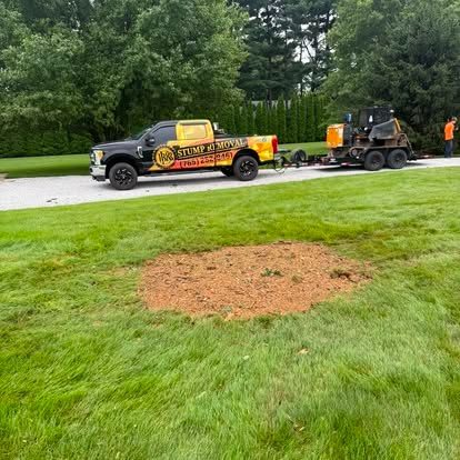 After: a stump ground out clean and level into a Central Indiana lawn