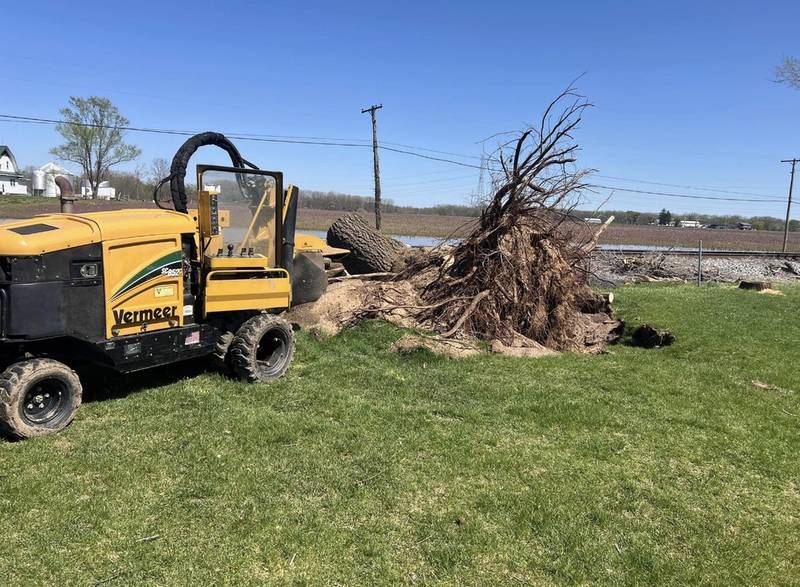Triple B's Bandit stump grinder beside a brush pile on an open Central Indiana property
