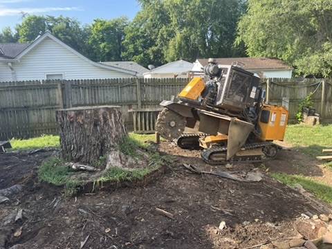 Stump grinder clearing stumps in a mulched, fenced area in Central Indiana