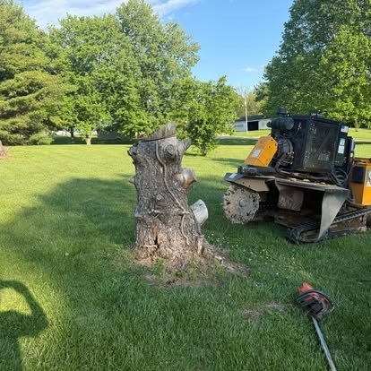 Triple B's grinder working a large tree stump in Central Indiana — large and difficult stump removal specialists